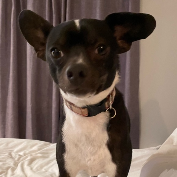 Meet your Posher, Heather - Picture 1 of 1